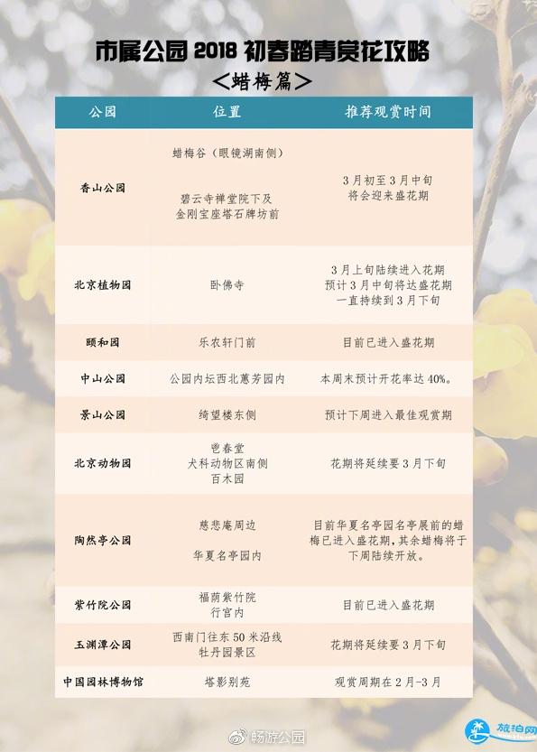 2018年北京观看腊梅花的公园有哪些