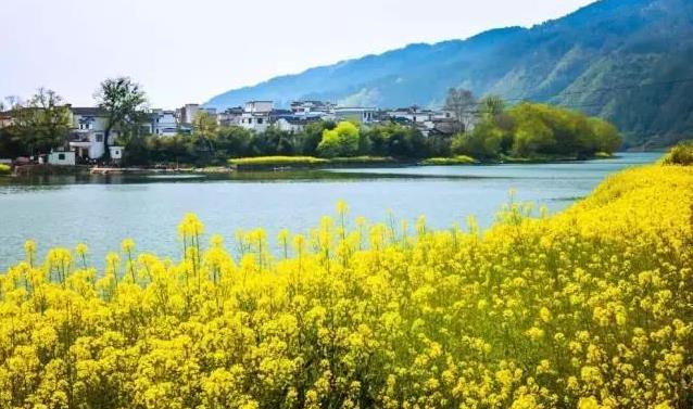 5月份去哪里旅游最好 五月份去哪里旅游舒服