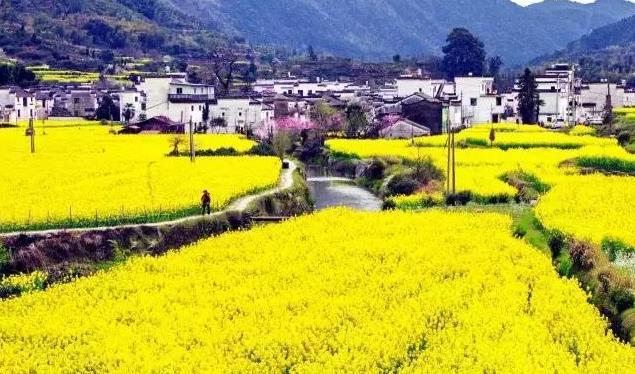 5月份去哪里旅游最好 五月份去哪里旅游舒服