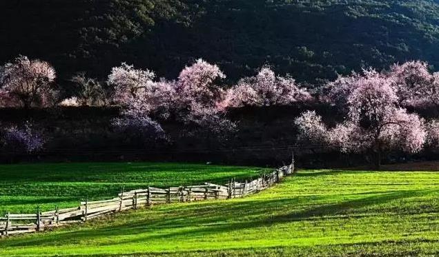 5月份去哪里旅游最好 五月份去哪里旅游舒服