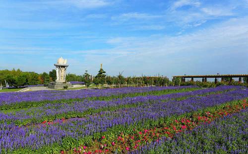 2018六一儿童节石家庄植物园免费吗