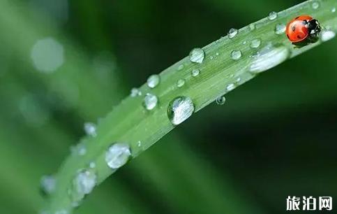 雨天怎么拍摄 雨天拍摄技巧介绍