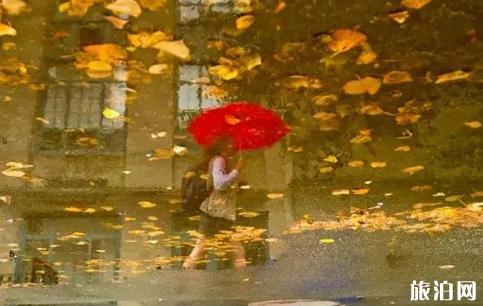 雨天怎么拍摄 雨天拍摄技巧介绍