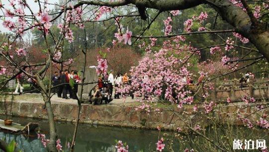 常德桃花源一日游攻略 常德桃花源怎么走