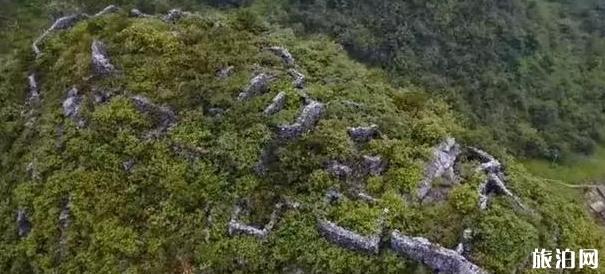 阳山杜步镇景点推荐