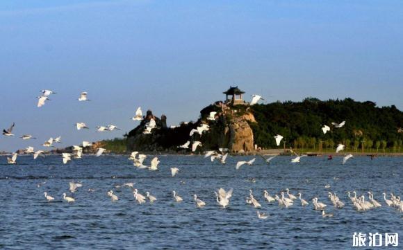 2018年8月暴雨秦皇岛关闭景点有哪些