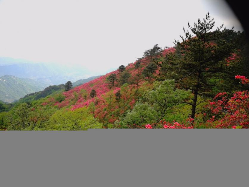 龟峰山风景区好玩吗 龟峰山旅游攻略