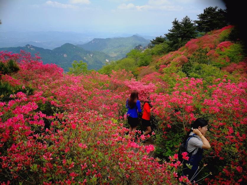 龟峰山风景区好玩吗 龟峰山旅游攻略