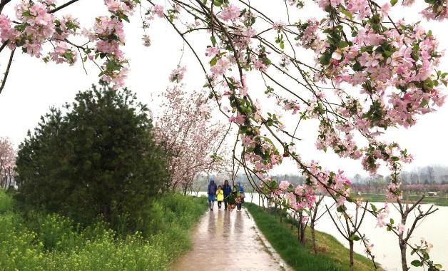 鄢陵旅游美景图片