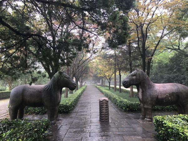 南京旅游美景图片 南京旅游景点照片