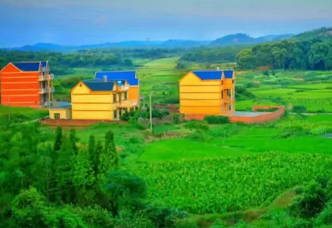 河南最大的自然村在哪里  江廖肖自然村图片