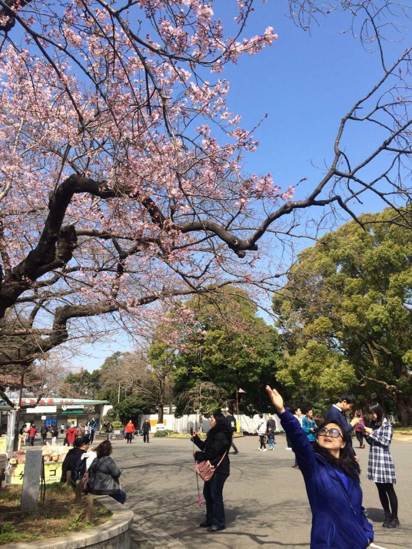 日本自由行旅游攻略2017