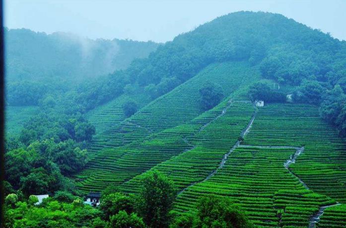 杭州旅游必去的地方 杭州旅游最佳目的地