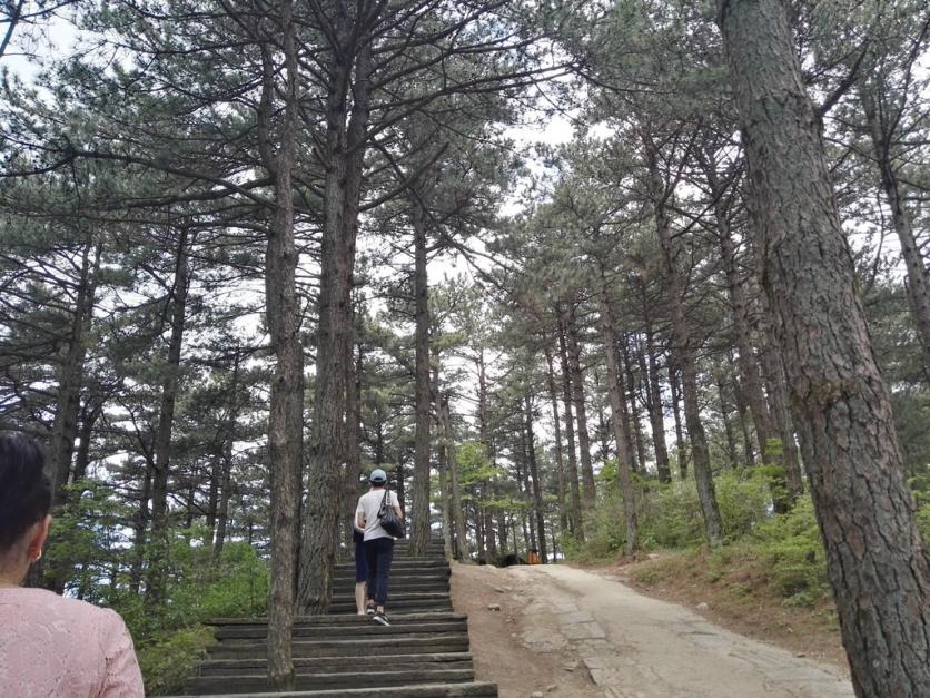 龟峰山风景区好玩吗 龟峰山旅游攻略