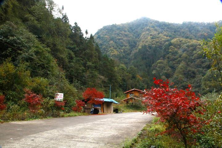 鞍子河自然保护区  崇州鞍子河