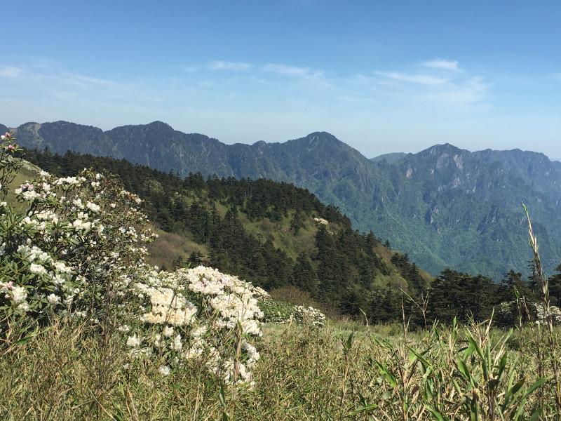 神农架有什么好玩的地方 神农架有野人吗