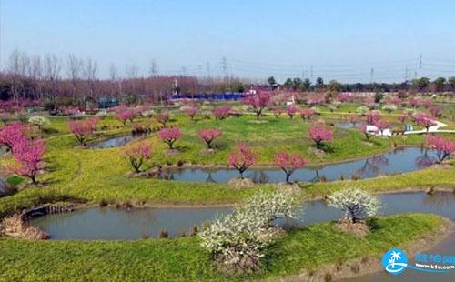 2018上海金山田野百花节门票价格+时间+地址