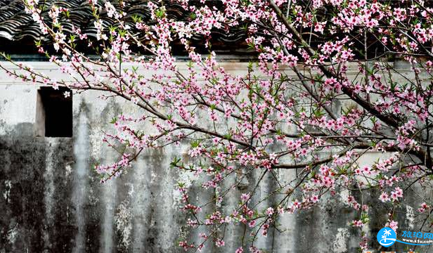 2018无锡阳山桃花节门票+花期+路线+交通