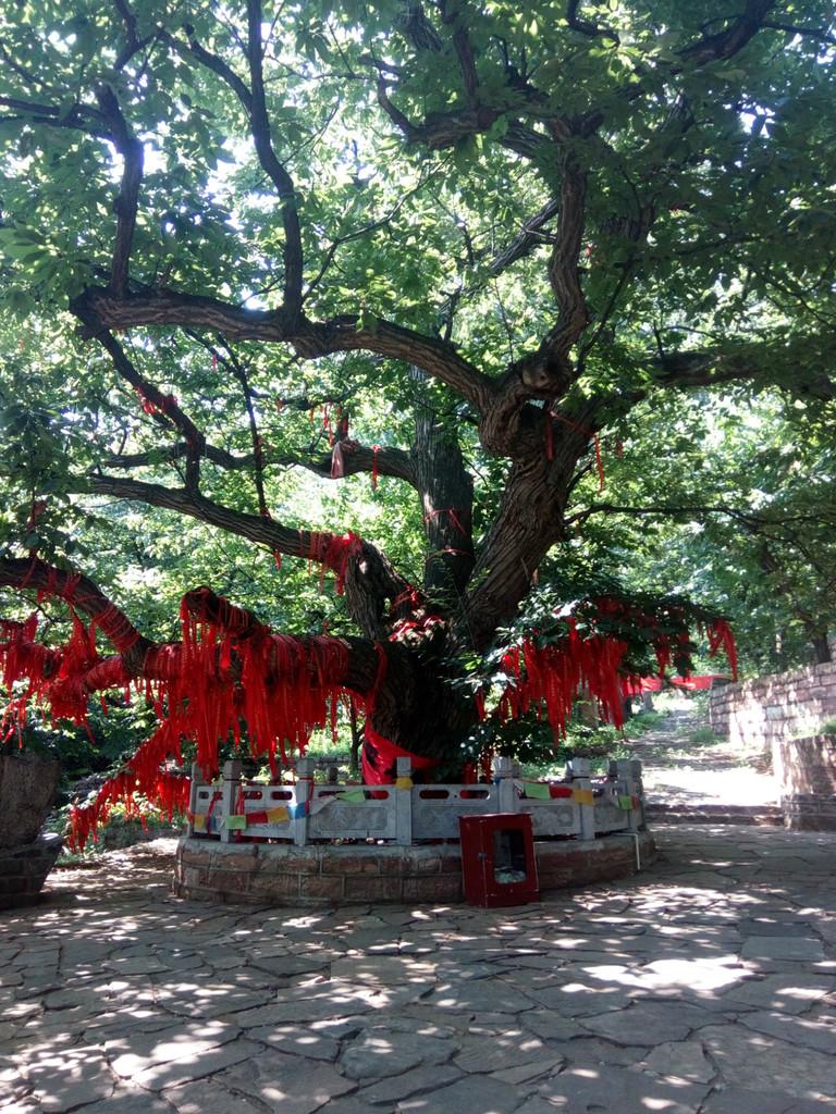 邢台有什么好玩的地方 邢台有什么旅游景点