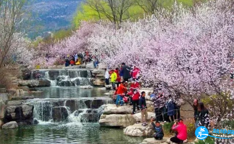 2018北京植物园桃花节限行吗 北京植物园桃花节怎么去/交通攻略