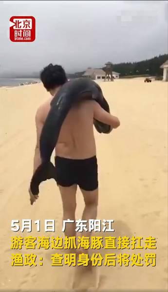 游客疑似活捉海豚 海滩游客注意事项有哪些