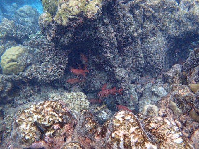 芙拉瓦丽岛怎么样 芙拉瓦丽岛旅游攻略