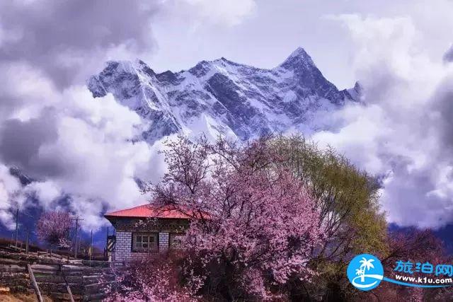 林芝赏桃花路线推荐2018