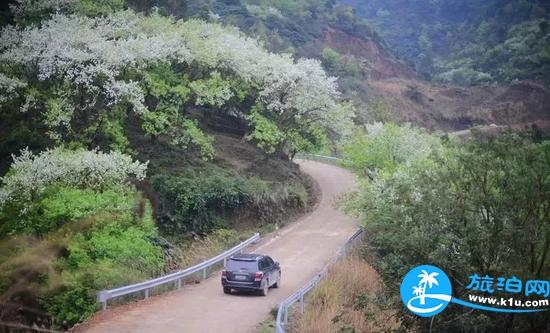 南宁春天赏花地点有哪些 2018南宁赏花地址+门票