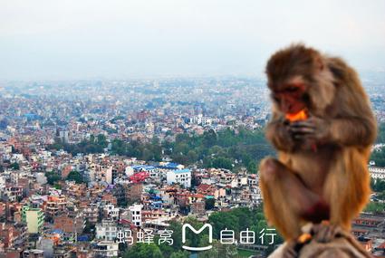 去尼泊尔旅游多少钱 尼泊尔有什么值得买的