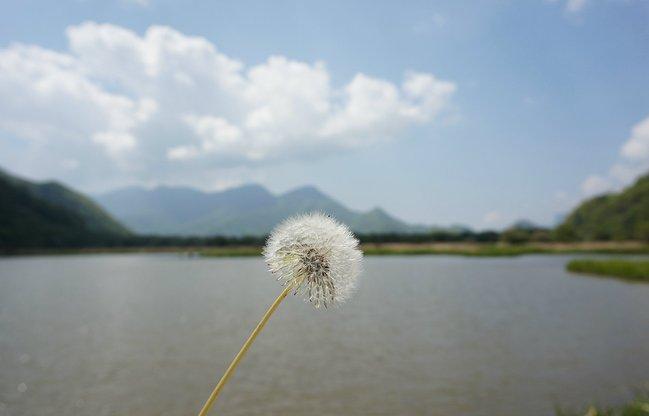 神农架有什么好玩的地方 神农架有野人吗