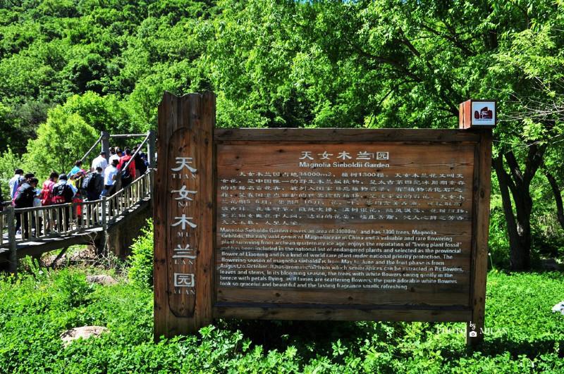 抚顺有什么旅游景点 去抚顺需要带什么