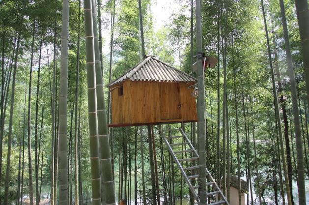 金华安地小同村住宿攻略