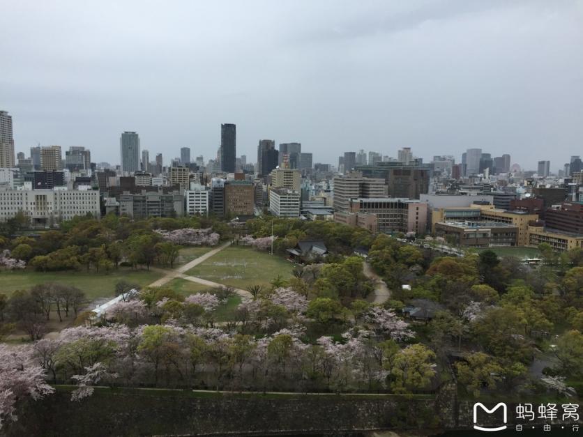 怎么从大阪到奈良 奈良大阪的樱花开了吗