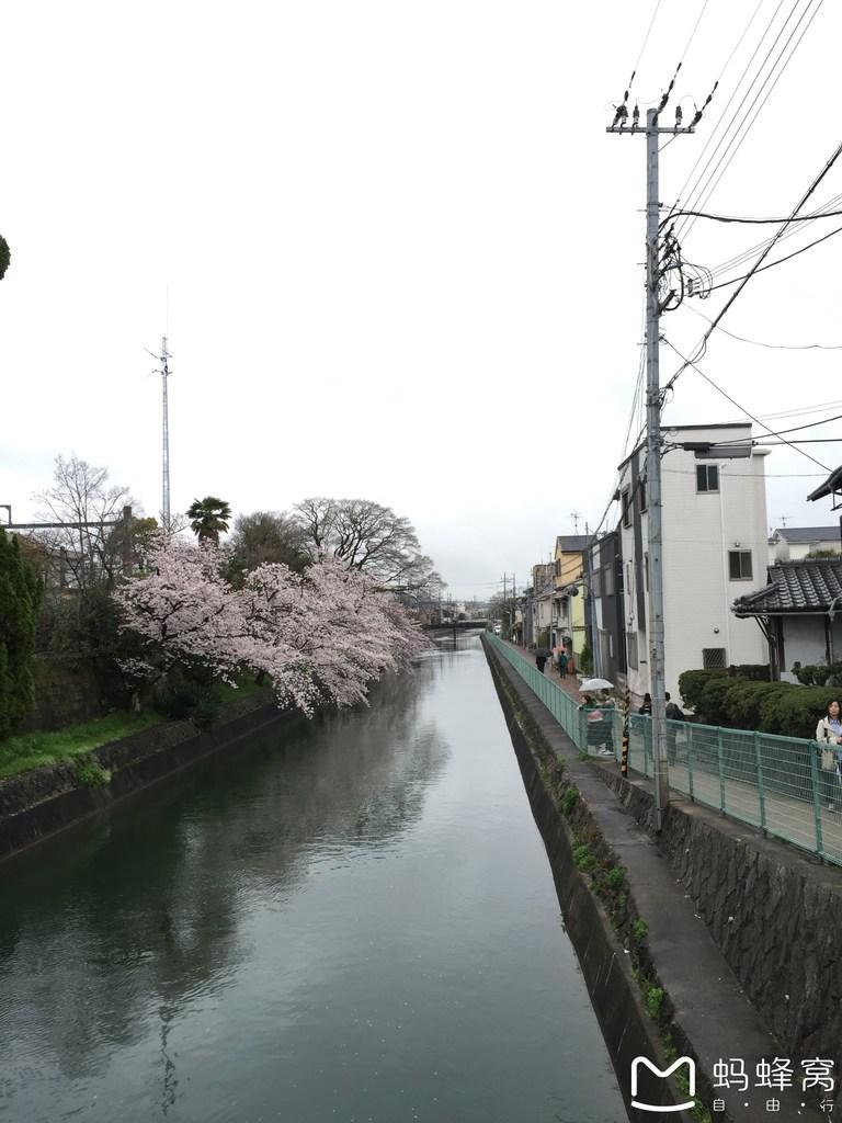 怎么从大阪到奈良 奈良大阪的樱花开了吗