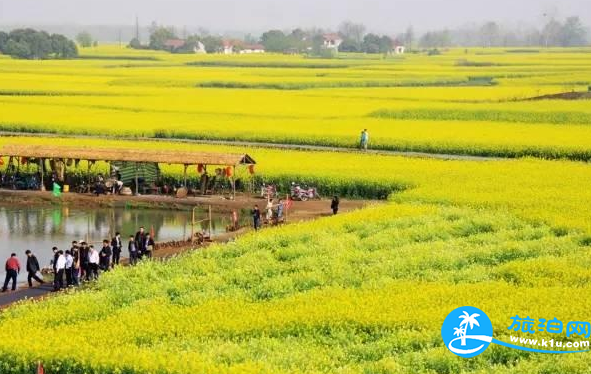 郑州春天去哪里赏花 2018郑州赏花攻略花期+门票+地址+交通