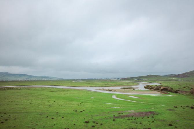 四川红原大草原自由行攻略 红原大草原花期是什么时候