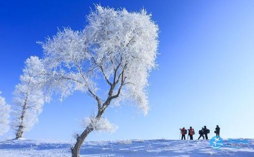 吉林雾凇岛怎么去 雾凇岛旅游交通攻略2018