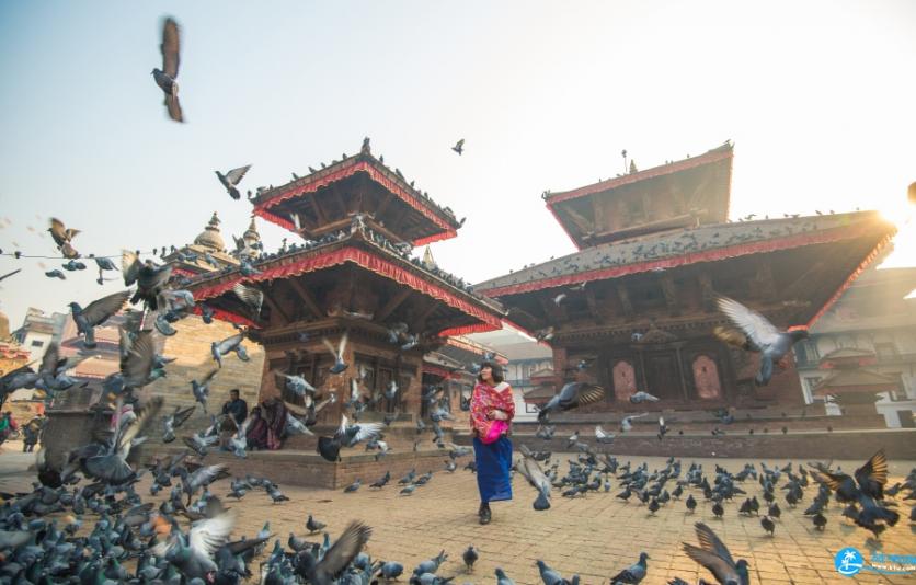 旅行穿什么衣服拍照好看 海边穿什么颜色衣服拍照好看