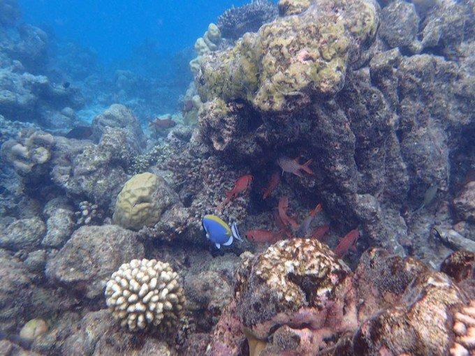 芙拉瓦丽岛怎么样 芙拉瓦丽岛旅游攻略