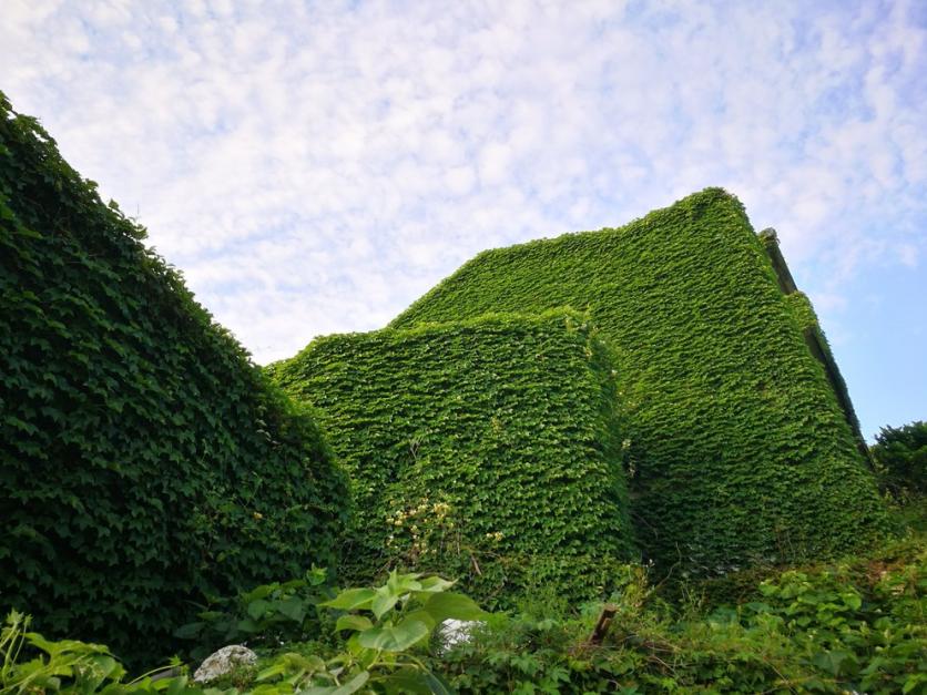 舟山群岛有什么好玩的 舟山群岛有多少岛屿