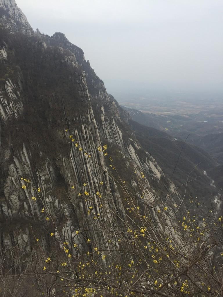 洛阳有哪些景点 洛阳必须去的旅游景点