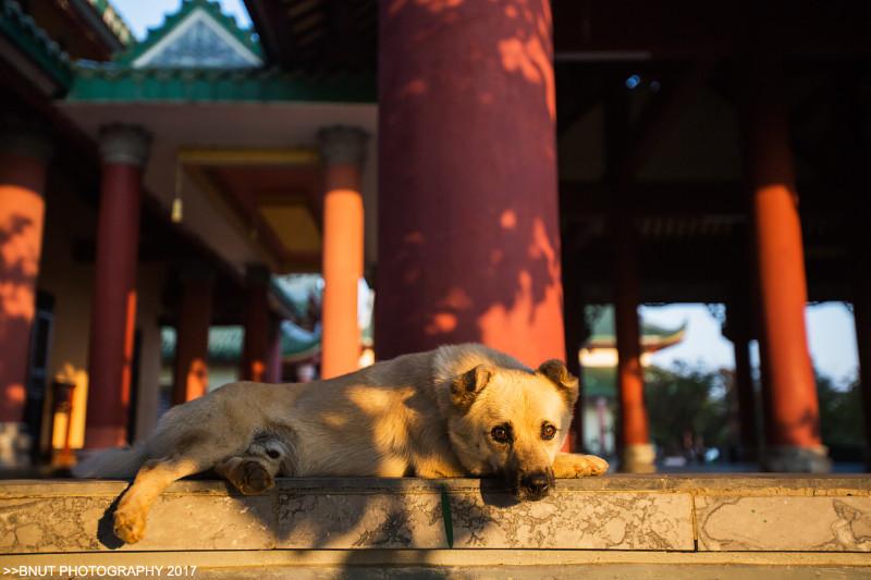 越南有什么好玩的 去越南旅游要多少钱