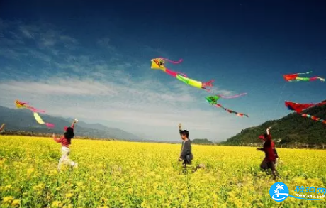 2018重庆巴南羊鹿山油菜花旅游节门票价格+时间+地点