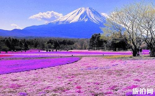 8月份适合去日本九州泡温泉吗 夏天去日本泡温泉可以吗