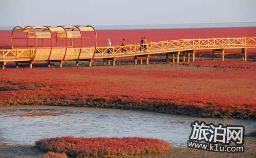 2018红海滩廊道旅游攻略 红海滩廊道怎么走