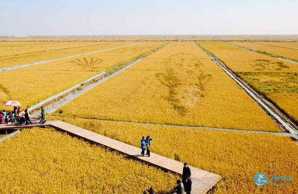 红海滩风景廊道图片 红海滩风景廊道风景图