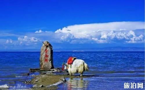 青海湖玩几天比较合适 青海湖旅游最佳路线