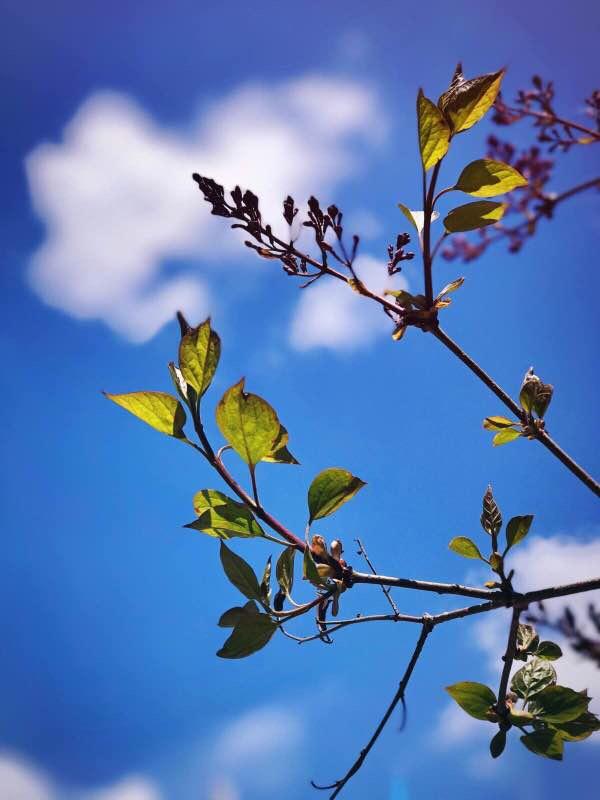 青海湖有什么景点 青海湖需要门票吗