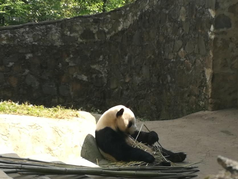 九寨沟黄龙旅游注意事项 九寨沟黄龙旅游指南