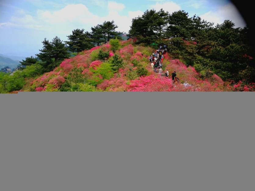 龟峰山风景区好玩吗 龟峰山旅游攻略